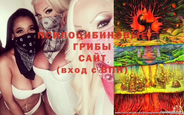 MDMA Premium VHQ Новокубанск